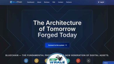 BlueChain Review – 4.46% Hourly Profits & Up to 900%