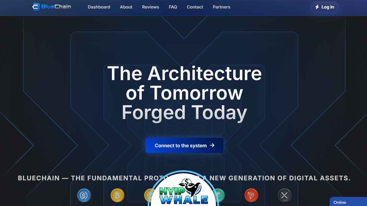 BlueChain Review – 4.46% Hourly Profits & Up to 900%
